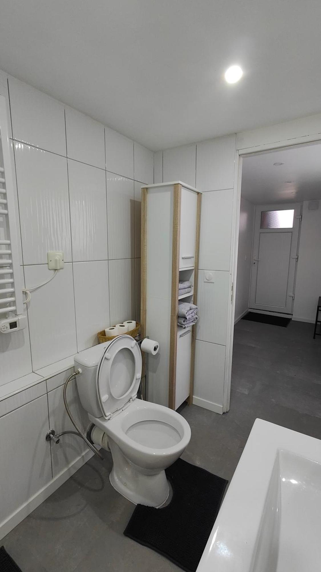 Bel Appartement F2 Entierement Renove Selestat Exterior photo